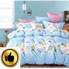 Постельное белье New Design (845)